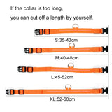 LED Glowing Night Safety Collar