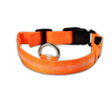 LED Glowing Night Safety Collar