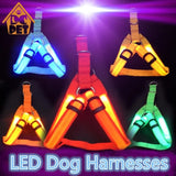 Nylon LED Harness For Pet Safety