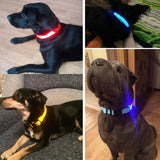 LED Glowing Night Safety Collar