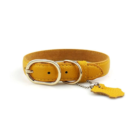 Leather Dog Collar with Tag