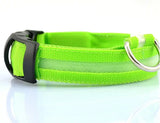 LED Glowing Night Safety Collar