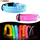 LED Glowing Night Safety Collar