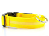 LED Glowing Night Safety Collar